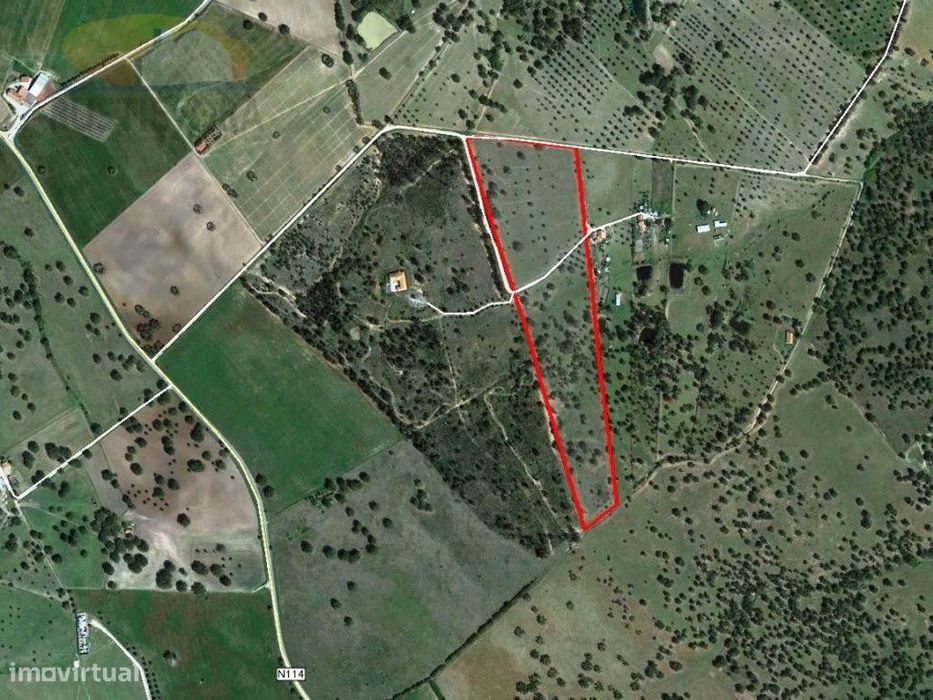 Terreno com 7,5 ha com montado de sobro, com viabilidade de constru...