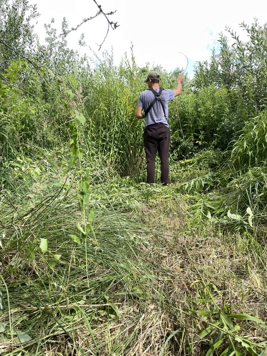 Послуги з косіння трави, чагарників , обрізка гілок ,переробка гілок
