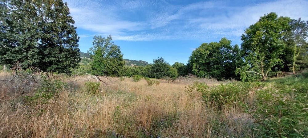 Guilhadeses Santar Arcos de Valdevez,  5800 m2