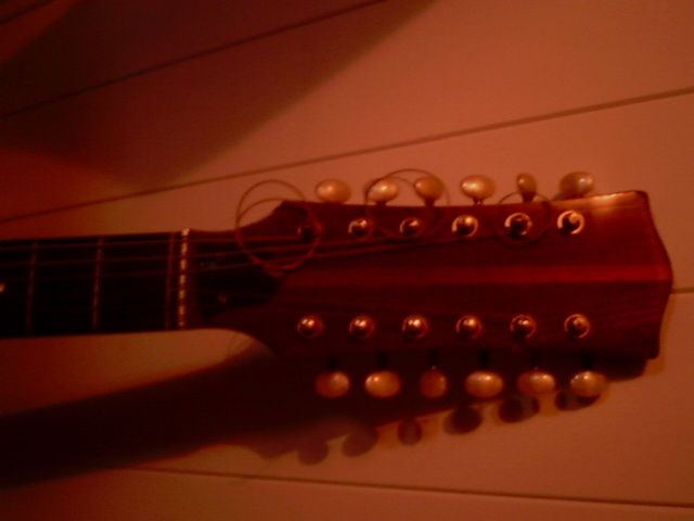 viola acústica de 12 cordas