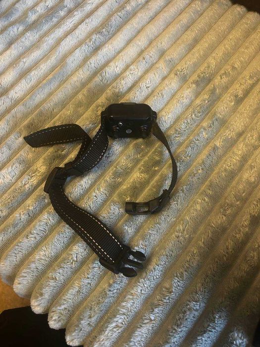 Електронашийник для дресирування собак