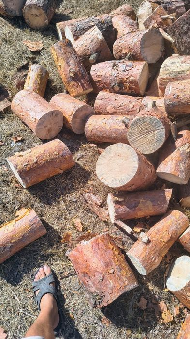 Дрова сосна пиляні та колоті 1800грн