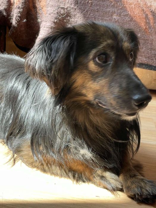 Малюк Блек! Хлопчик друг! 1 рік