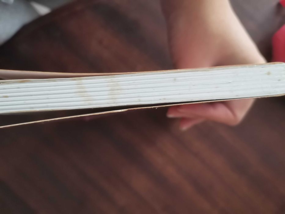 Livro Os Aventureiros: No Rio Subterrâneo