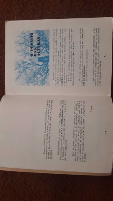 Mário Sardo - Construir a vida - portes incluídos