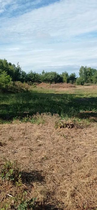 Działka budowlana 4400m2 Ożegów!