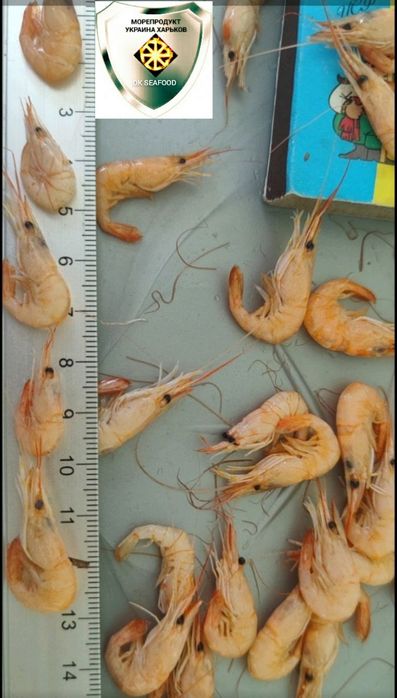 Креветки черноморские, атлантические, индийские,тихоокеанские