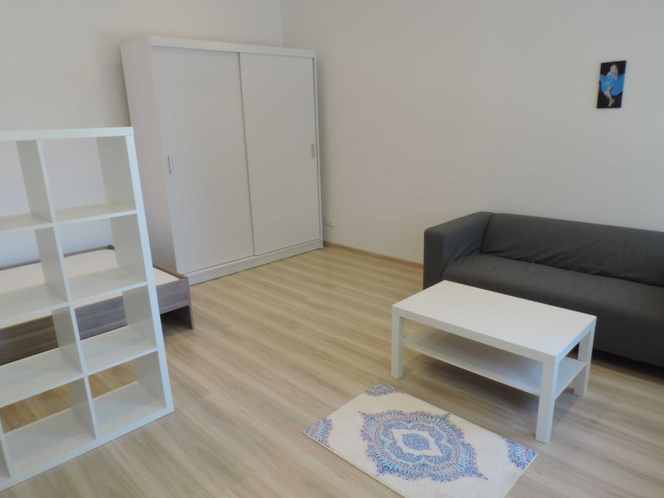 Duża kawalerka z oddzielną kuchnią, Katowice, szuka najemcy - Widok 3