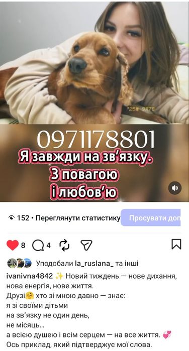 ці милі дівчатка чекають на дім,