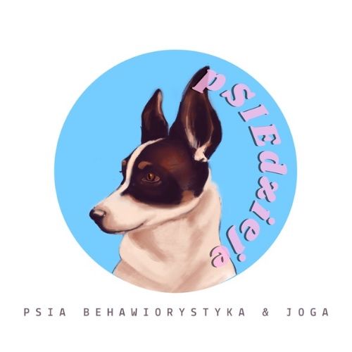 Psia behawiorystka/trenerka – Kraków i okolice