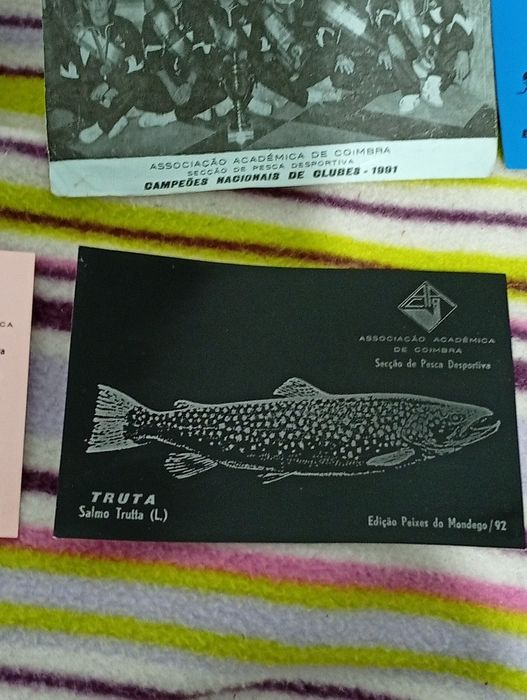 Associação Académica de Coimbra Campeos Nacionais de Clubes