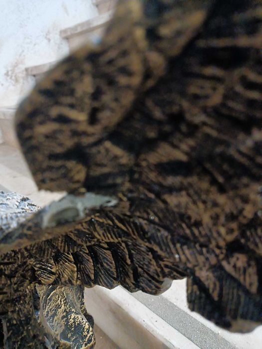 Estatua Águia do Benfica SLB