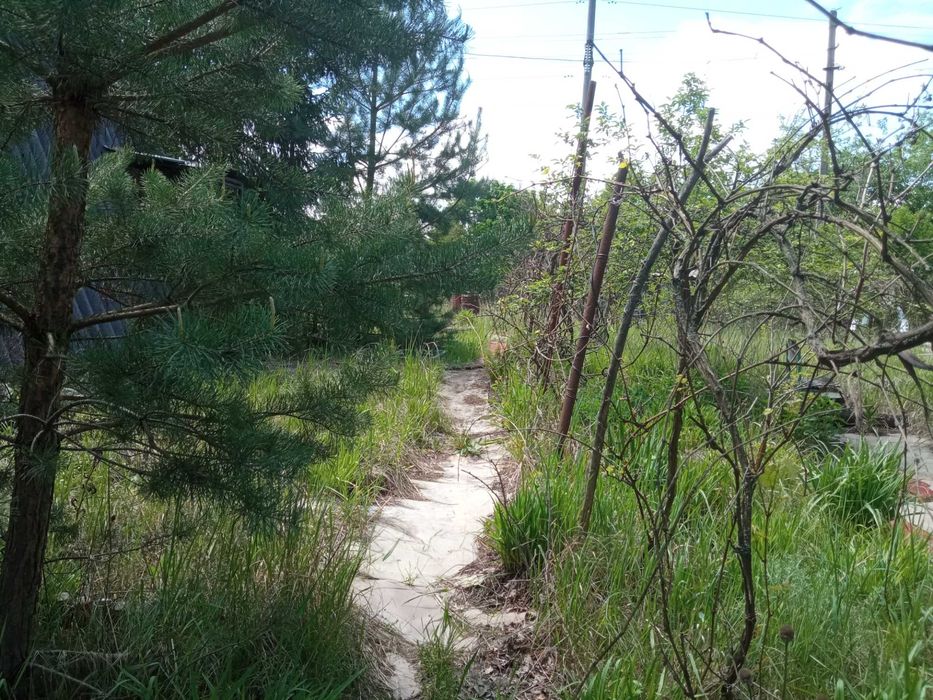 Продам дачний будинок в СТ Лісовий