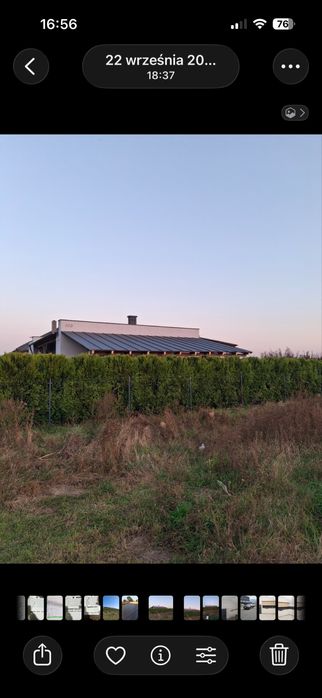 Uslugi ogrodnicze -wiaty -tarasy -wycinka drzew