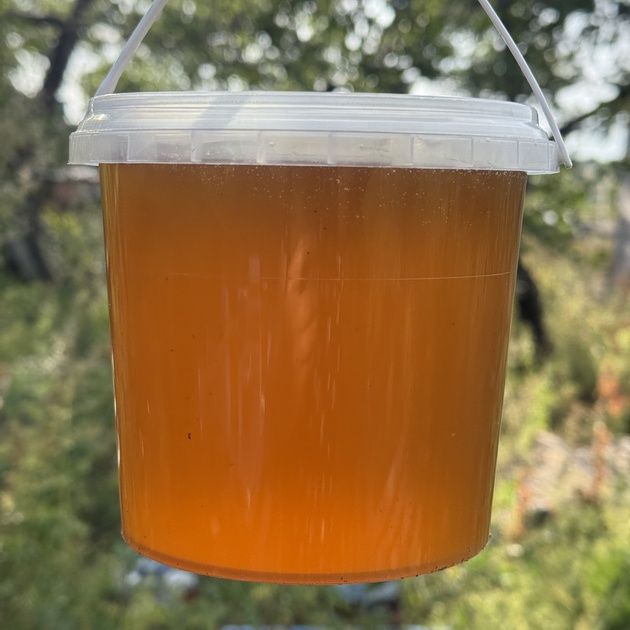 Мед -  150 грн.  2025 року.