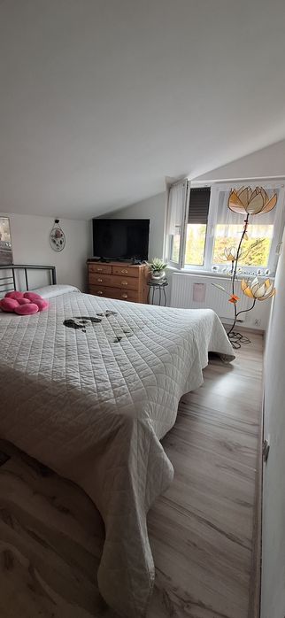 Działka ROD przy Bandurskiego