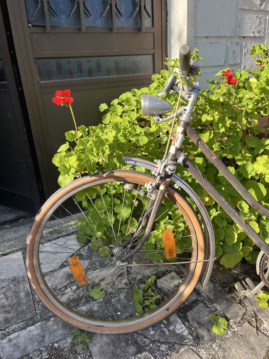 Bicicleta classica unisexo - estilo vintage