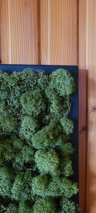 Loft kwietnik ścienny z mchem stabilizowanym półka loft rustykalna