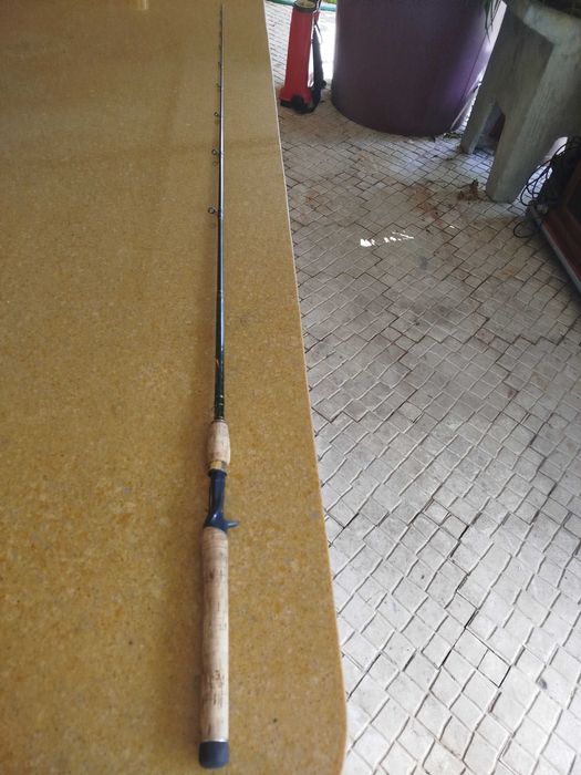 Cana de pesca Casting.