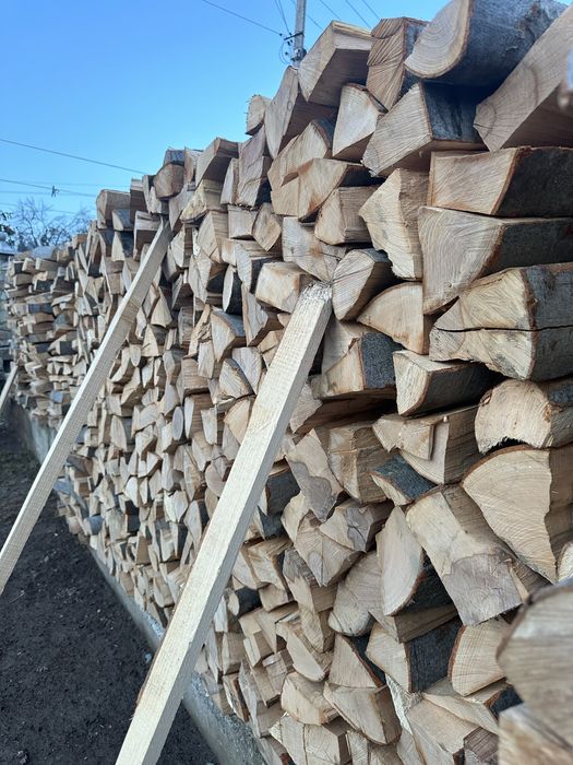 Дрова бук, букові