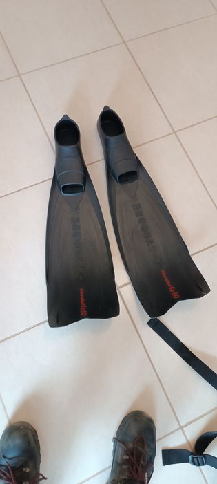 Conjunto pesca submarina