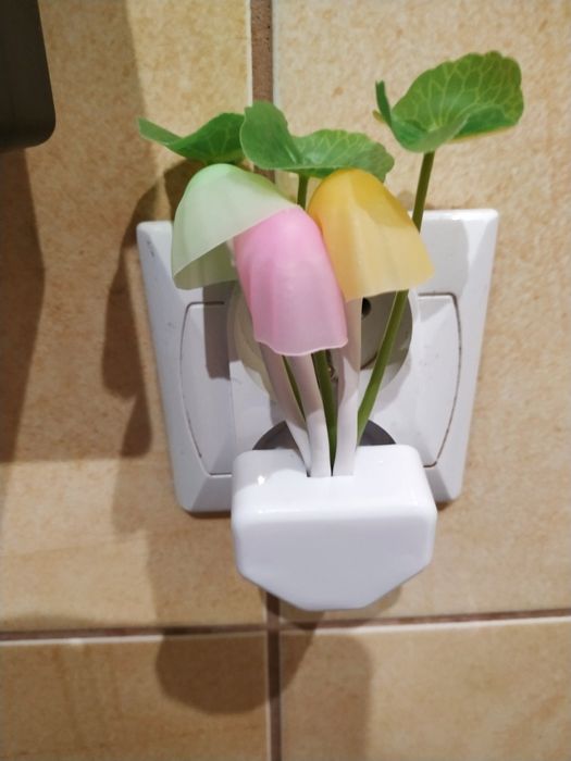 Lampka Led do kontaktu.