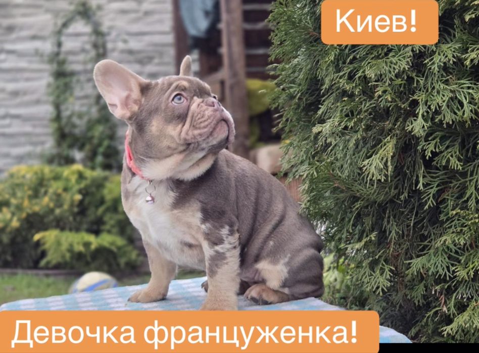 Супер девочка француженка