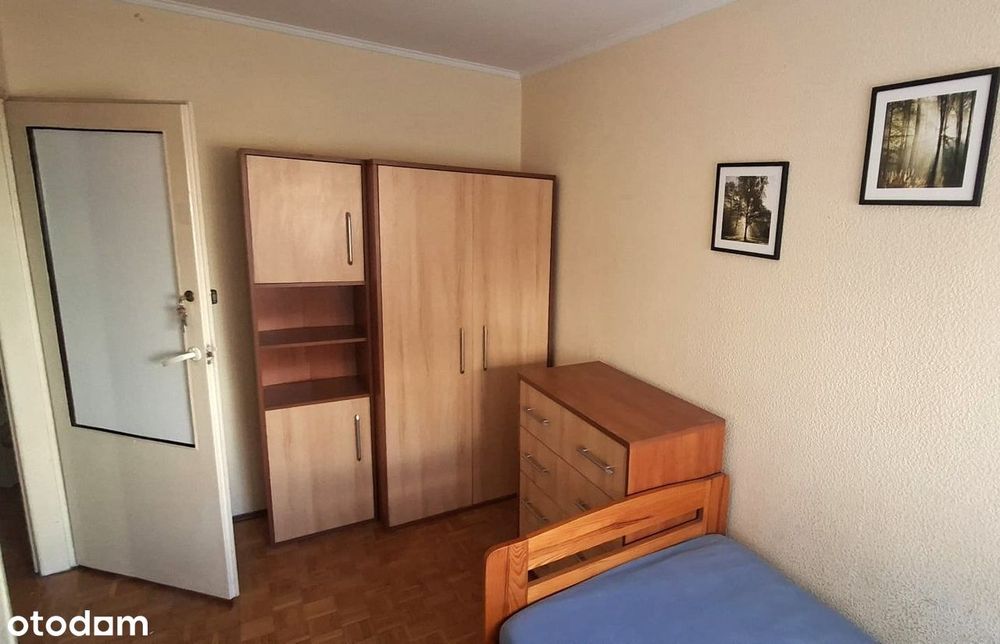 Zdjęcie 8