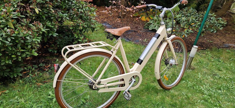 rower elektryk stalhasten