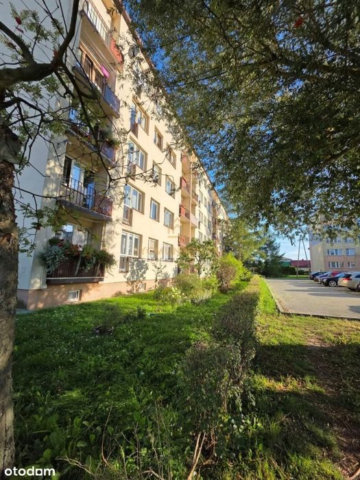 Mieszkanie – Końskie - Widok 2