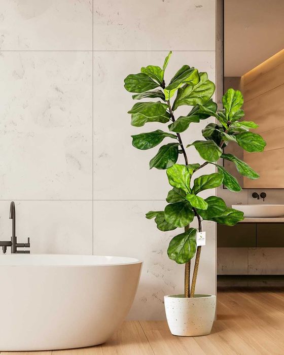 Leflos 150 cm sztuczna fikus w doniczce do wnętrz