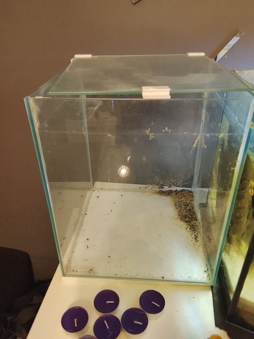 Akwarium kostka jakieś 15 l
