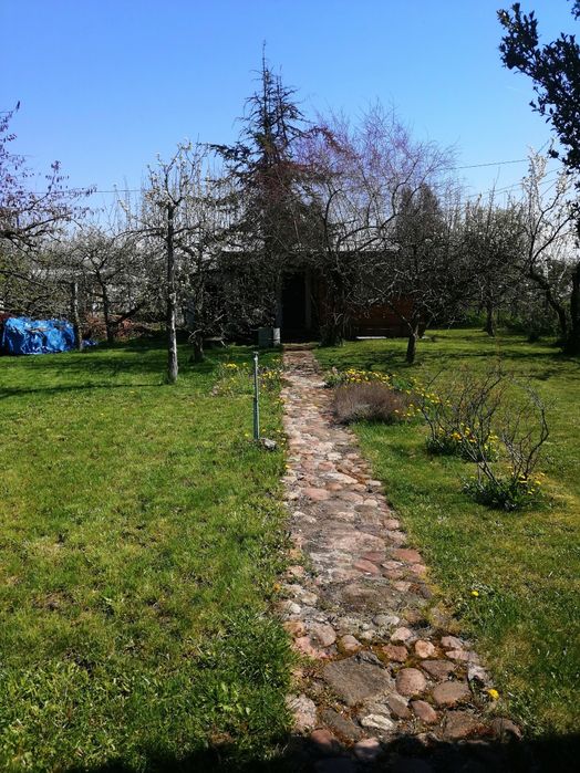 Działka rekreacyjna ROD ul. Solskiego 411m² - Widok 2