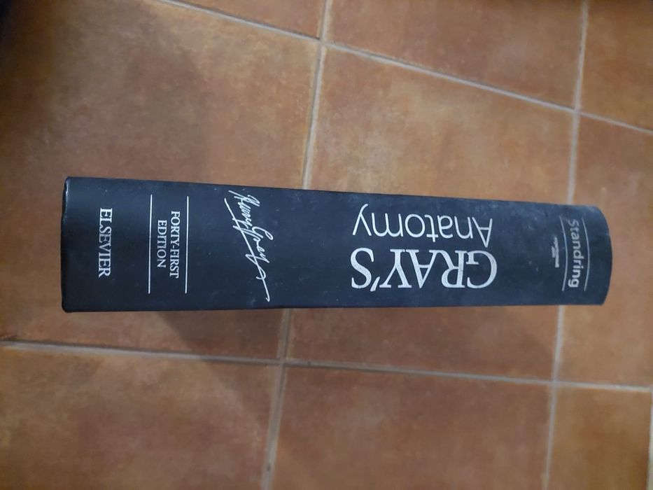 Gray's Anatomy - 41ed