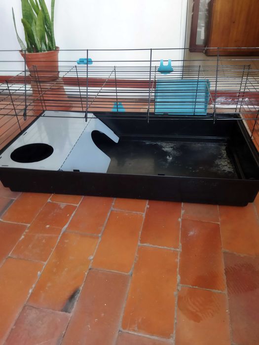 Gaiola para roedores
