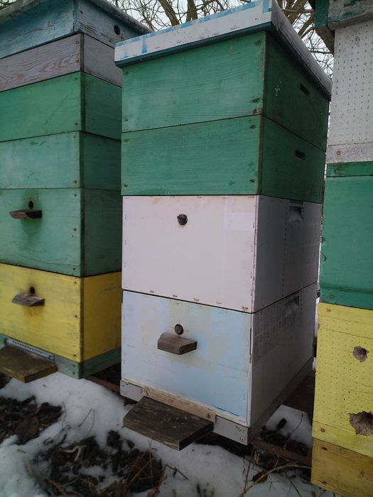 Вуликі,рамкі,суш.