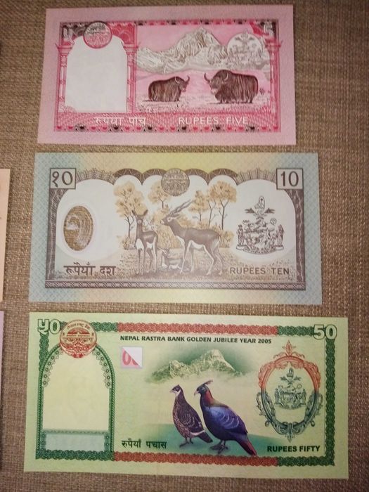 NEPAL 6 Uncirculated Banknotes, as Shown in the Photos, from Various Series64751300725889123