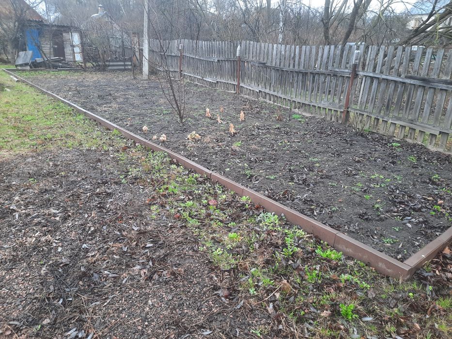 Дачний будинок, дача