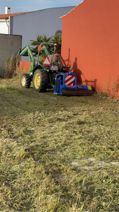 Limpeza de terrenos. Poda, cote e abate de arvores, palmeiras e jardinagem