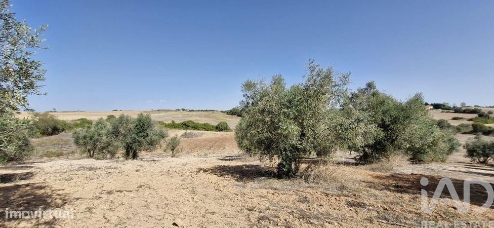 Terreno em Azambujeira e Malaqueijo de 12080,00 m2
