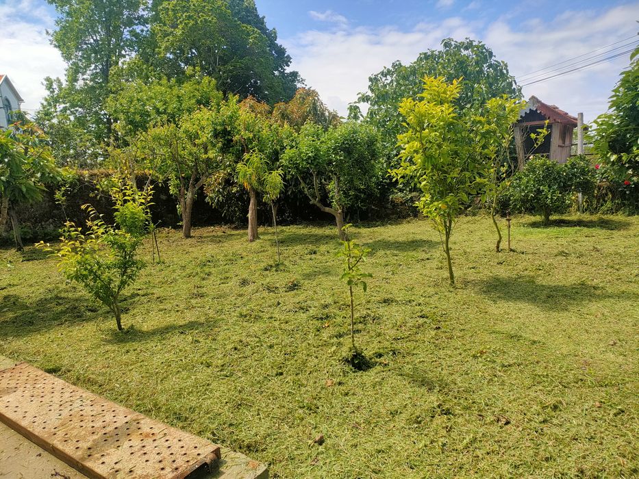 Jardinagem e Limpeza de terrenos
