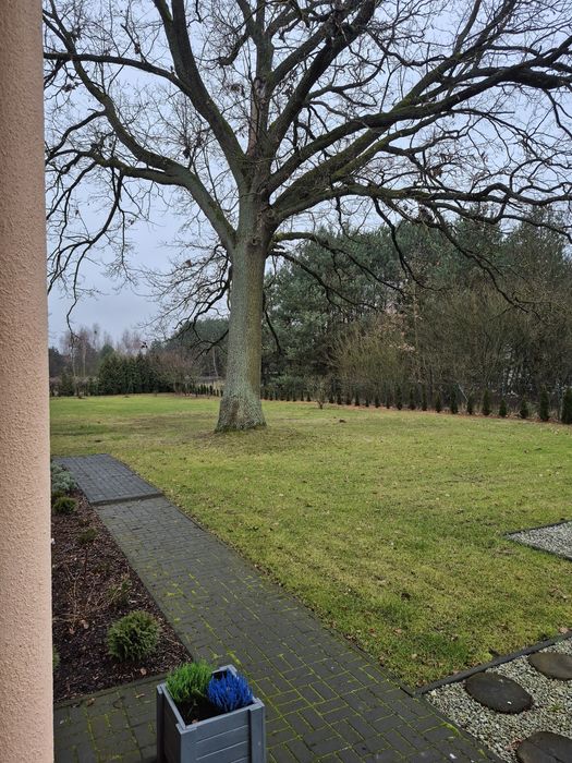 Pokoje  pod  dębem  dla  gości  I pracownikow