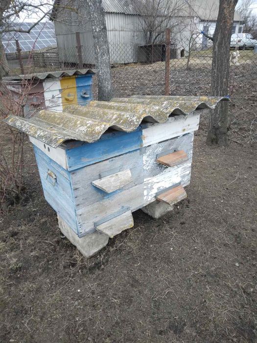 Продам Вулики для бджіл