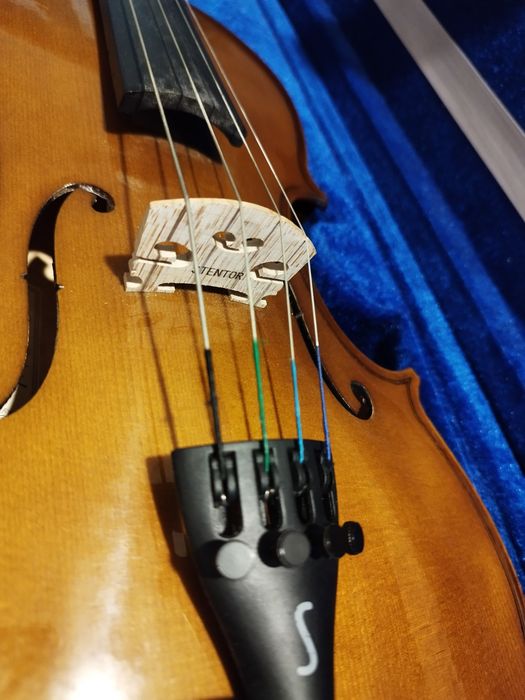 VIOLA D' ARCO 14" Stentor Student I