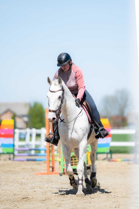 Sprzedam wałacha dla dziecka lub amatora