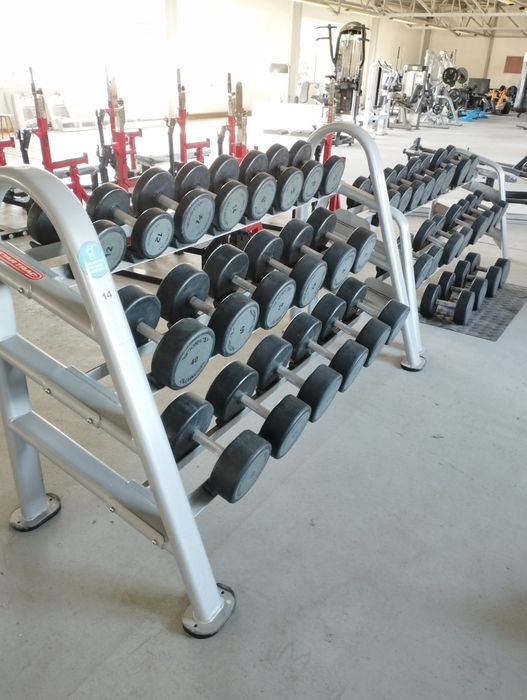 Hantle sztangielki poliuretanowe ogumowane Technogym zestaw 12-50kg 1240kg stojaki gratis