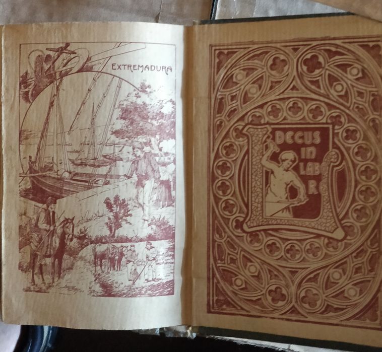 Livro da Lello- precioso!