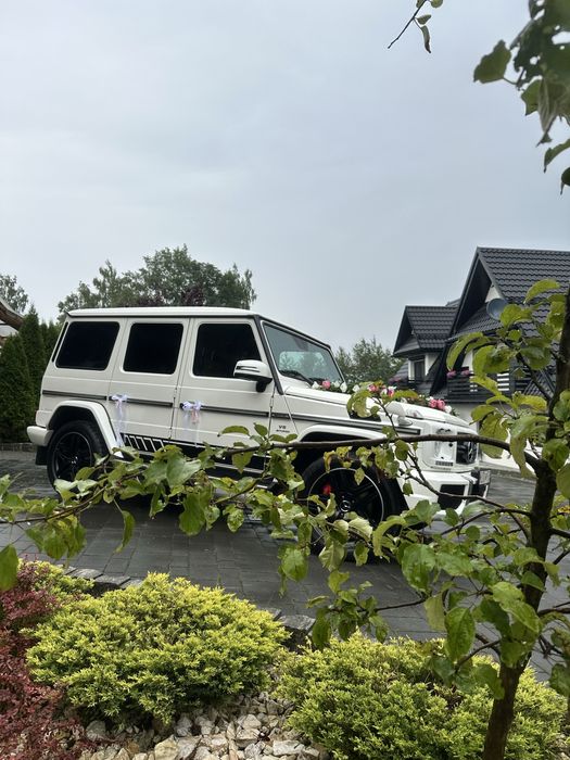Mercedes G 63 AMG  CLA BMW M3 G80 do  ślubu