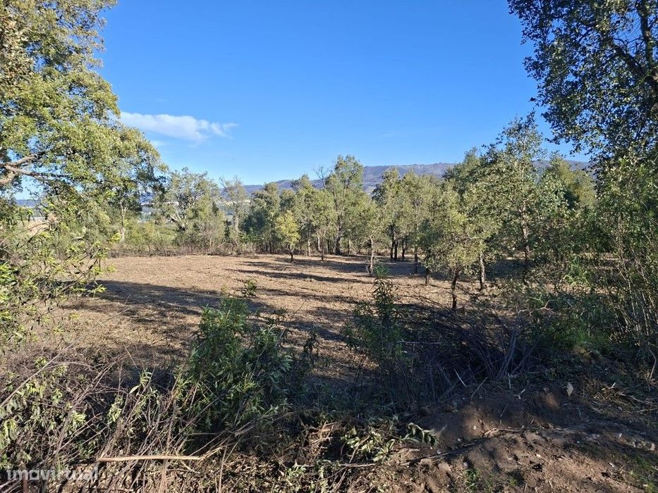 Terreno Agrícola - Telhado / Fundão - 10.000 m²