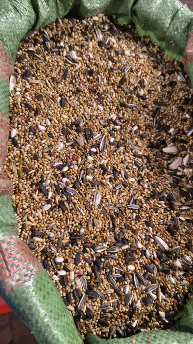Mieszanka dla papug falistych, średnich dużych i innych worki 20 kg